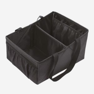 Organizator auto Ezimoov