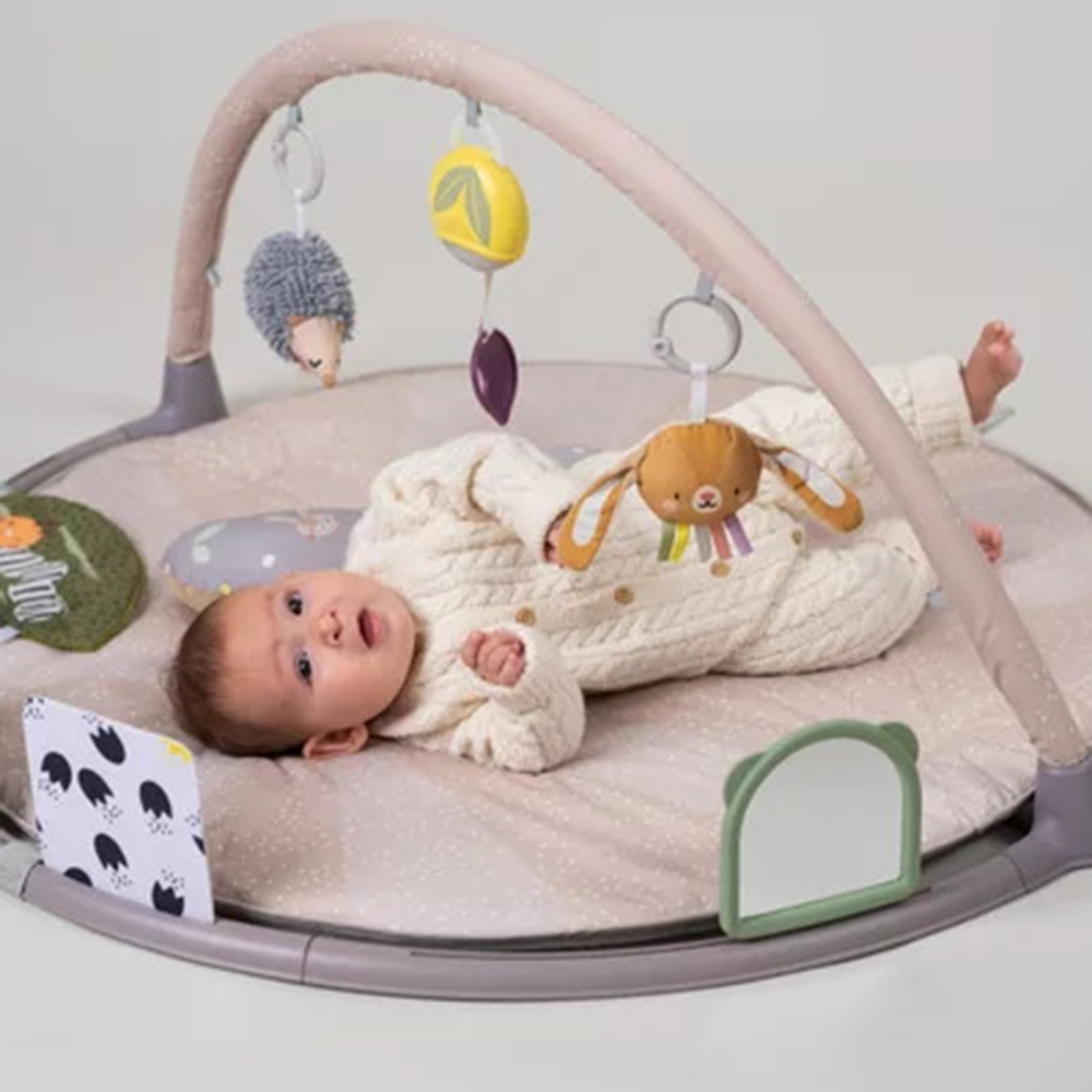 Centru De Activitati Taf Toys Tummy Time +0 Luni - imagine 7