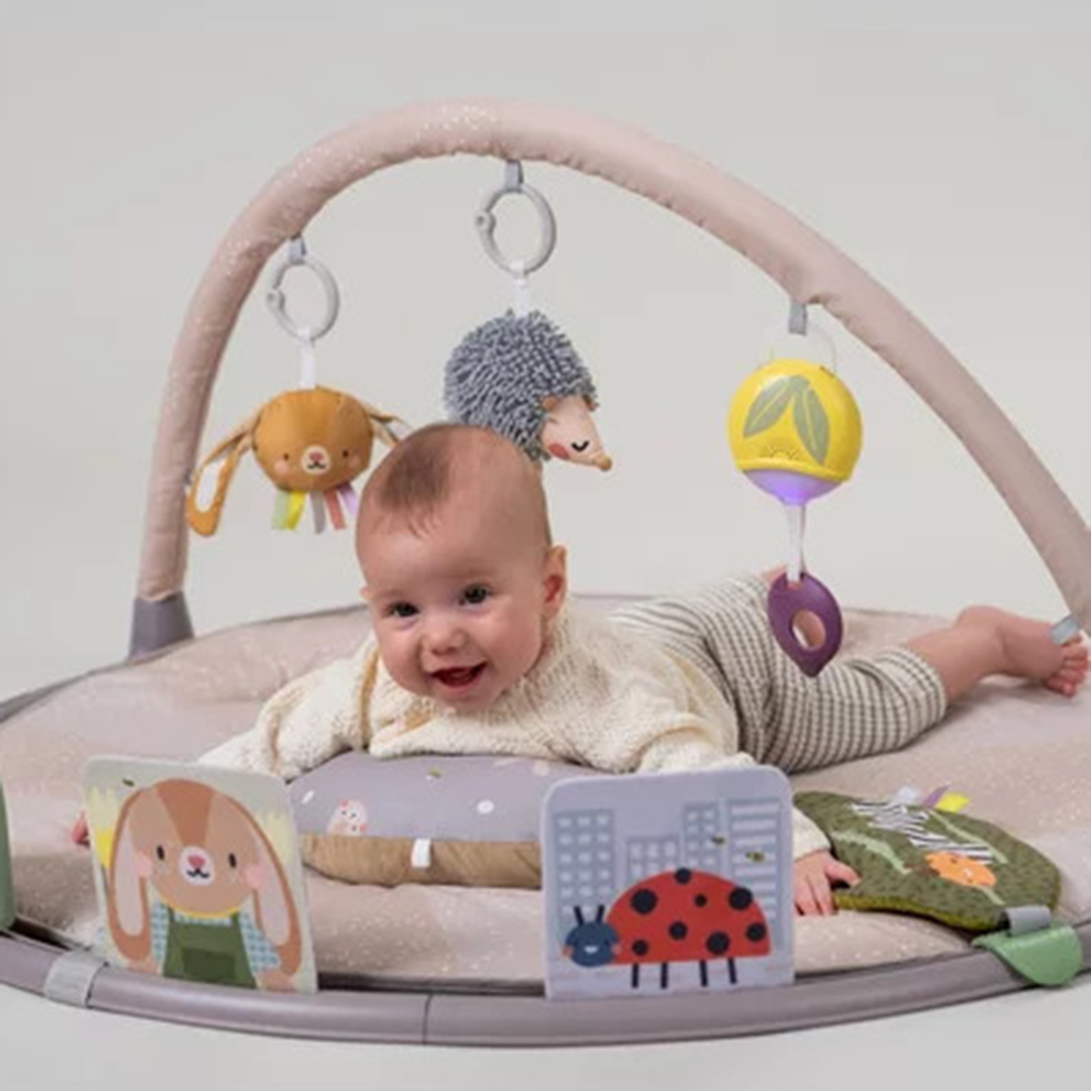 Centru De Activitati Taf Toys Tummy Time +0 Luni - imagine 8