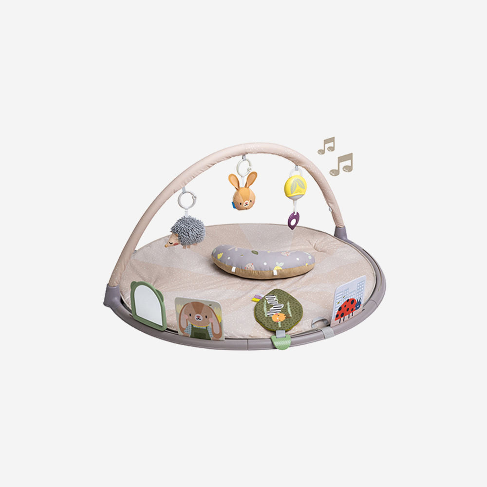 Centru De Activitati Taf Toys Tummy Time