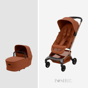 Carucior 2 in 1 Maxi Cosi Fame Cabin